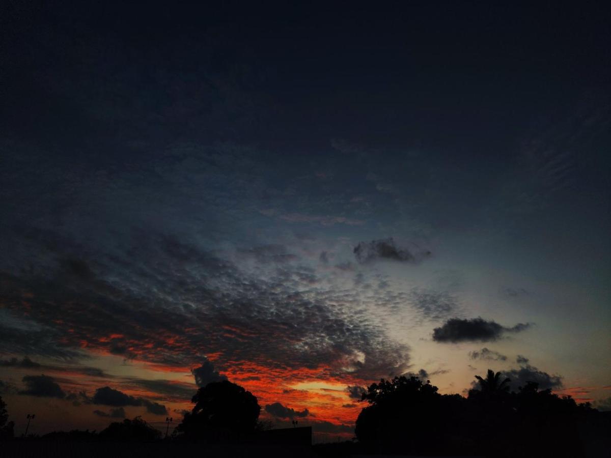 Coco Villa,Ukulhas Exteriör bild
