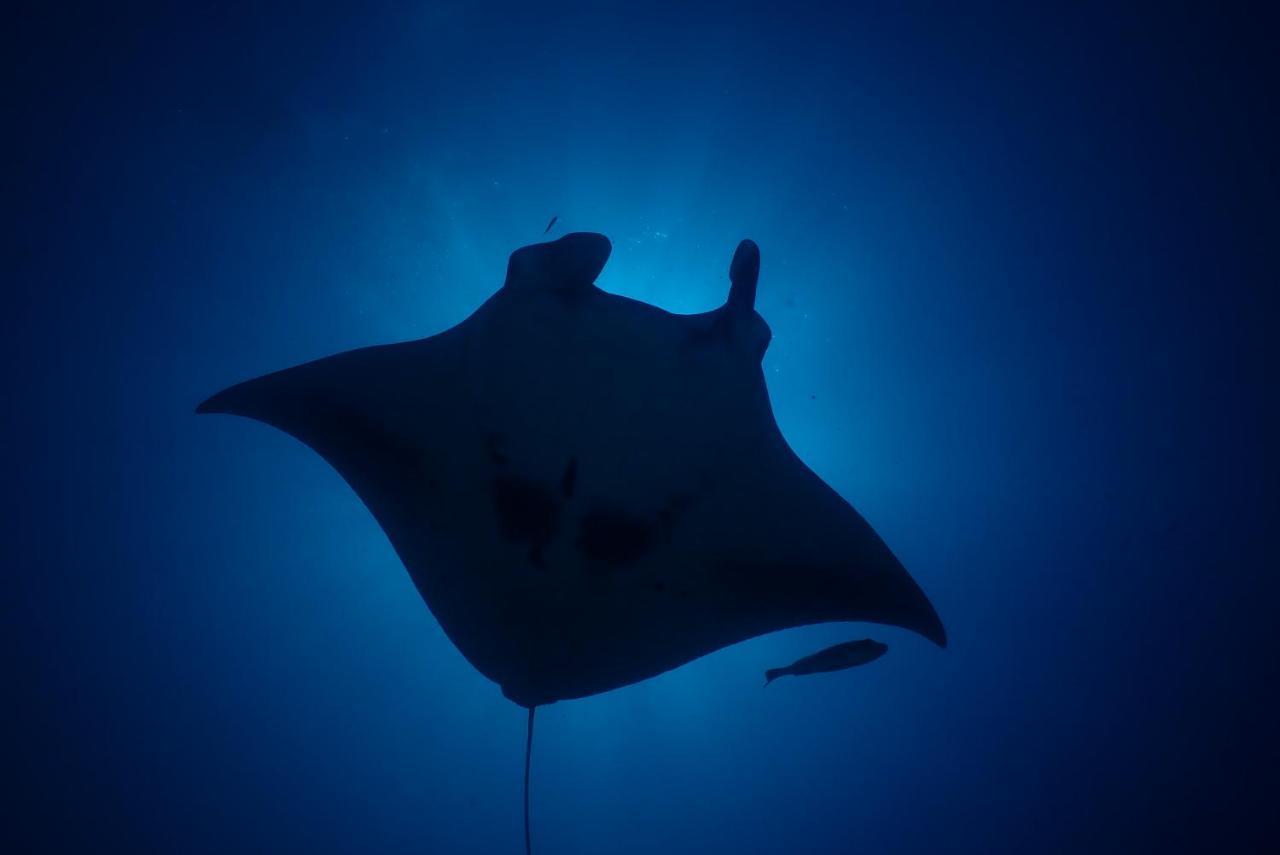 Coco Villa,Ukulhas Exteriör bild