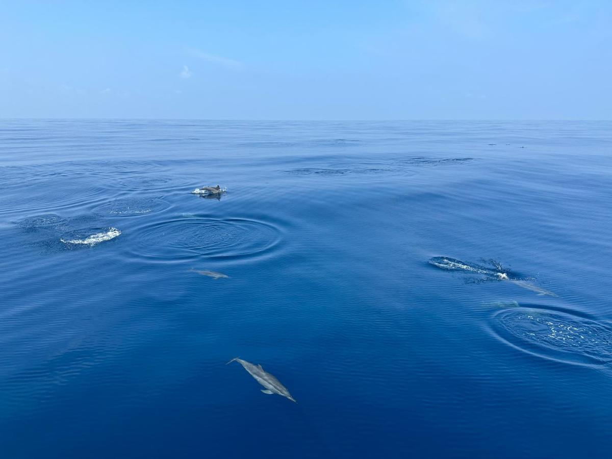 Coco Villa,Ukulhas Exteriör bild
